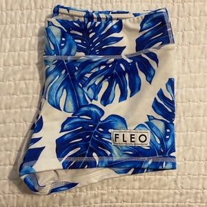 Large Fleo Blue Monstera